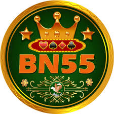 BN55.com